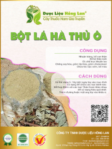 Bột Lá Hà Thủ Ô