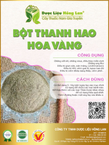 Bột Thanh Hao Hoa Vàng