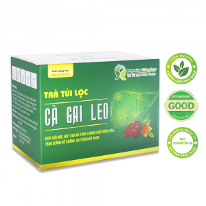 Trà Túi Lọc Cà Gai Leo