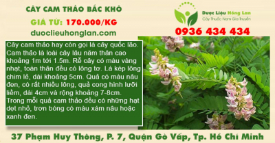 Cây Cam Thảo Bắc