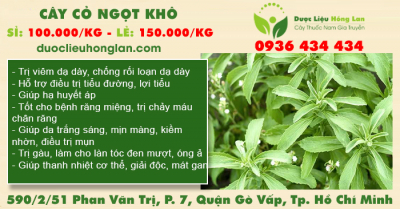 Cây Cỏ Ngọt khô