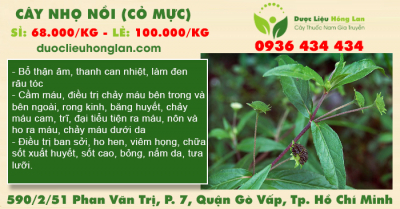 Cây Nhọ Nồi (Cỏ Mực) khô