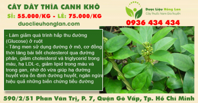 Cây Dây Thìa Canh khô