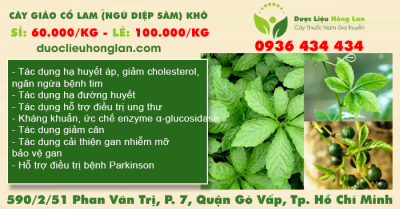 Cây Giảo Cổ Lam (Ngũ Diệp Sâm) khô
