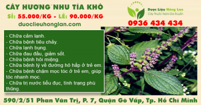 Cây Hương Nhu Tía Khô
