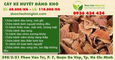Cây Kê Huyết Đằng khô