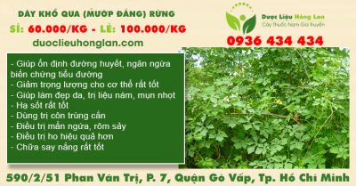 Dây Khổ Qua (Mướp Đắng) rừng