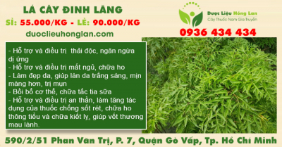 Lá Cây Đinh Lăng