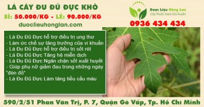 Lá Cây Đu Đủ Đực khô