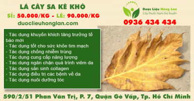 Lá Cây Sa Kê khô