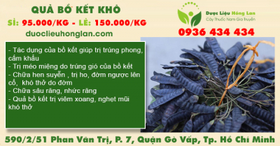 Quả Bồ Kết khô