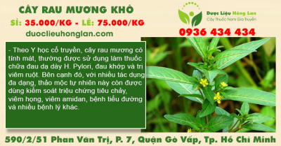 Cây Rau Mương khô