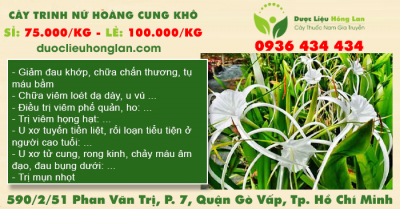 Cây Trinh Nữ Hoàng Cung khô