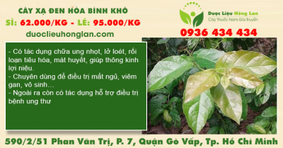 Cây Xạ Đen Hòa Bình khô