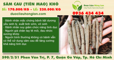 Sâm Cau (Tiên Mao) khô