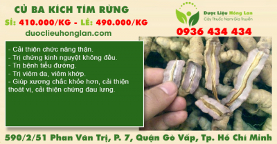 Củ Ba Kích tím rừng