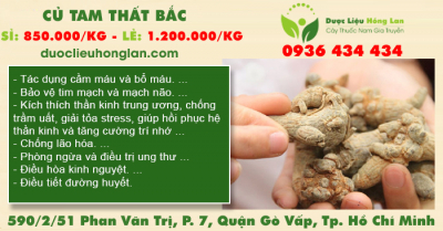 Củ Tam Thất Bắc