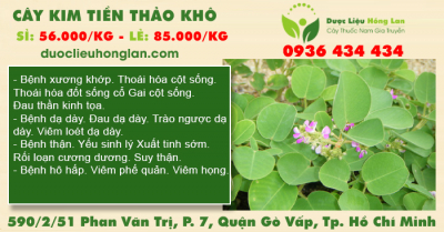 Cây Kim Tiền Thảo khô