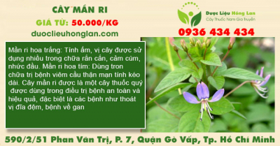 Cây Mần Ri