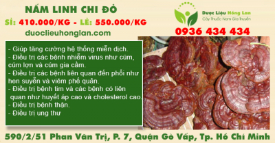 Nấm Linh Chi đỏ