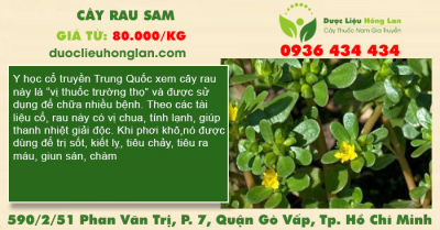 Cây rau sam
