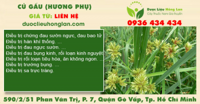 Củ Gấu (Hương Phụ)