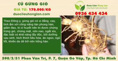 Củ gừng gió