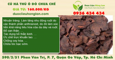 Củ Hà Thủ ô đỏ chưa chế