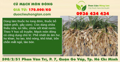 Củ Mạch Môn Đông