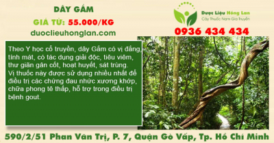Dây Gắm