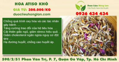 Hoa Atiso khô