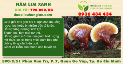 Nấm Lim Xanh