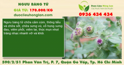 Ngưu bàng tử