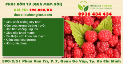 Phúc bổn tử (quả mâm xôi)