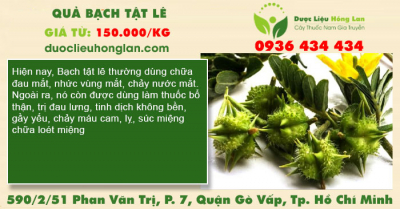 Quả Bạch Tật Lê
