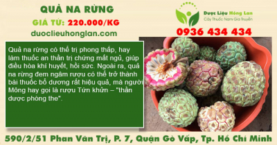 Quả na rừng
