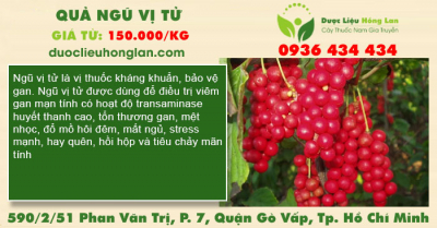 Quả Ngũ Vị Tử