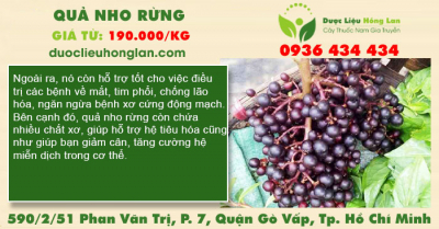 Quả Nho Rừng