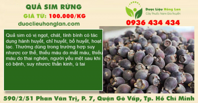 Quả sim rừng