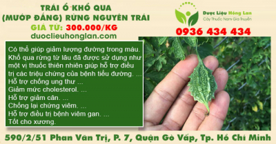 Trái ổ Khổ qua (Mướp đắng) rừng nguyên trái