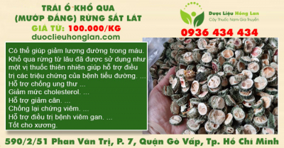 Trái ổ Khổ qua (Mướp đắng) rừng sắt lát
