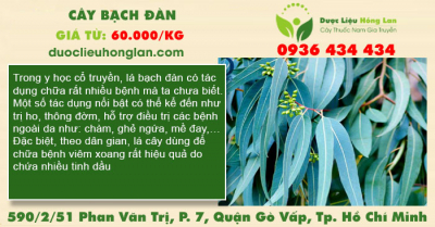 Cây bạch đàn