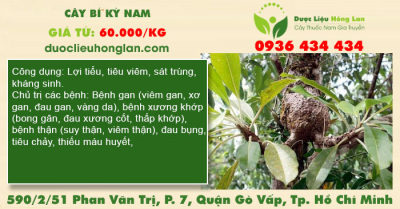 Cây bí kỳ nam