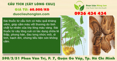 Cẩu Tích (Cây Lông Culi)