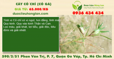 Cây cỏ chỉ (cỏ gà)