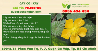 Cây cối xay
