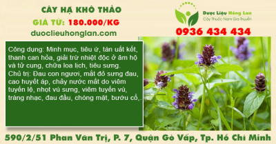 Cây hạ khô thảo