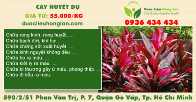 Cây Huyết Dụ