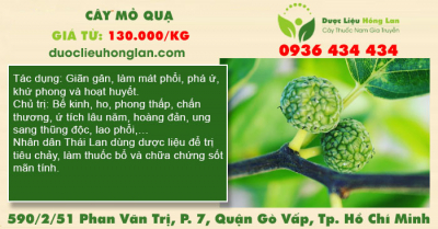 Cây Mỏ Quạ
