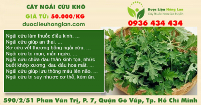 Cây Ngải Cứu khô